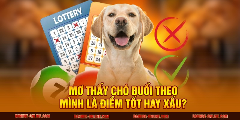 Giải Mã Giấc Mơ Thấy Chó Đuổi Theo Mình Tại Lô Đề Online 1 Mơ thấy chó đuổi theo mình là điềm tốt hay xấu?